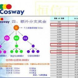 太陽(yáng)線直銷(xiāo)軟件專(zhuān)業(yè)定制開(kāi)發(fā)全解析 從廠家選擇到價(jià)格評(píng)估